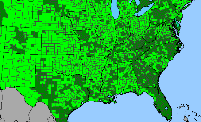 The range of Populus deltoides